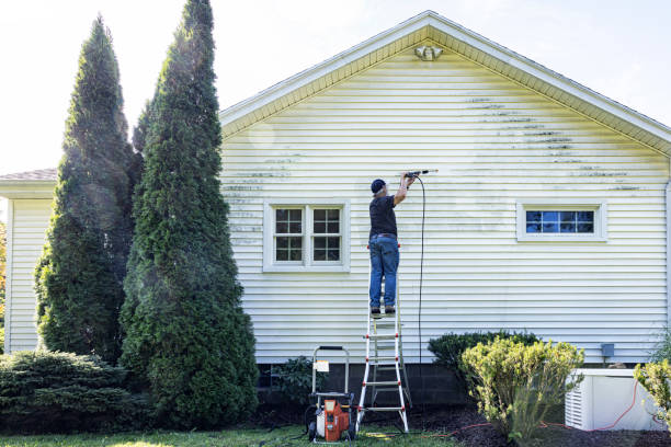 Best Historic Building Restoration  in Mccall, ID